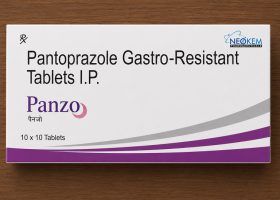 panzo40